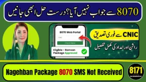 Nagehban Ramadan Package 8070 SMS Not Received After 24 Hours? Here’s the Real Solution