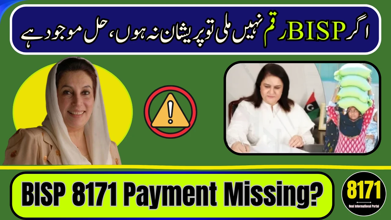 BISP 8171 Payment Missing? Fix Wallet Issue in 2026